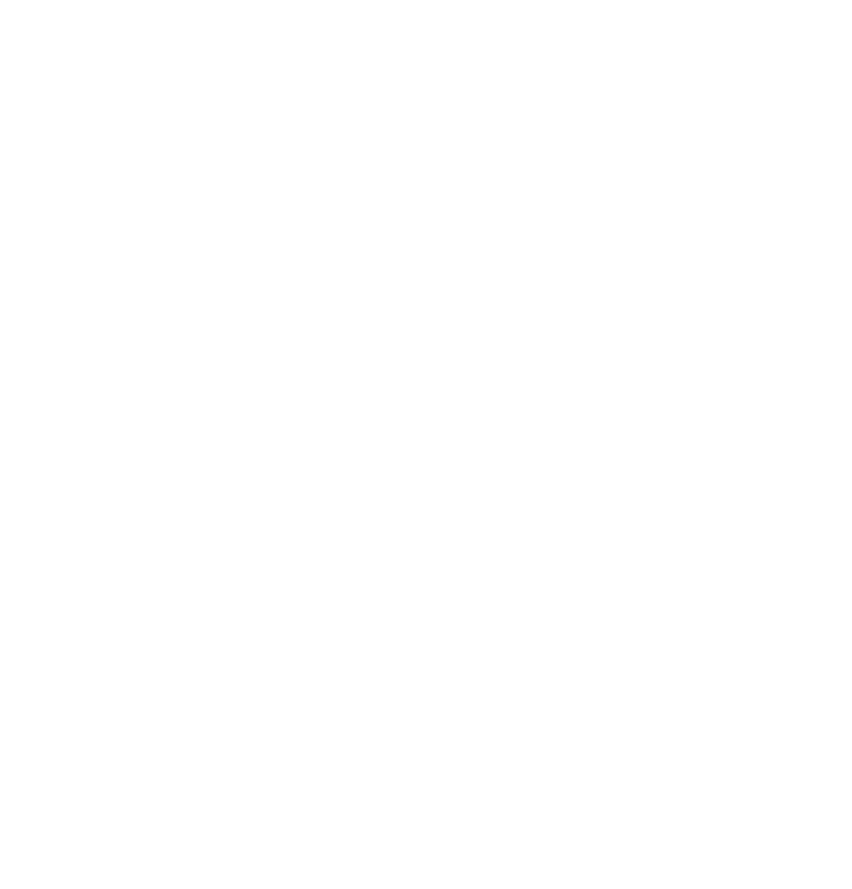 Michael Troutman Woodworks logo